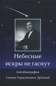 Обложка книги «Небесные искры не гаснут»