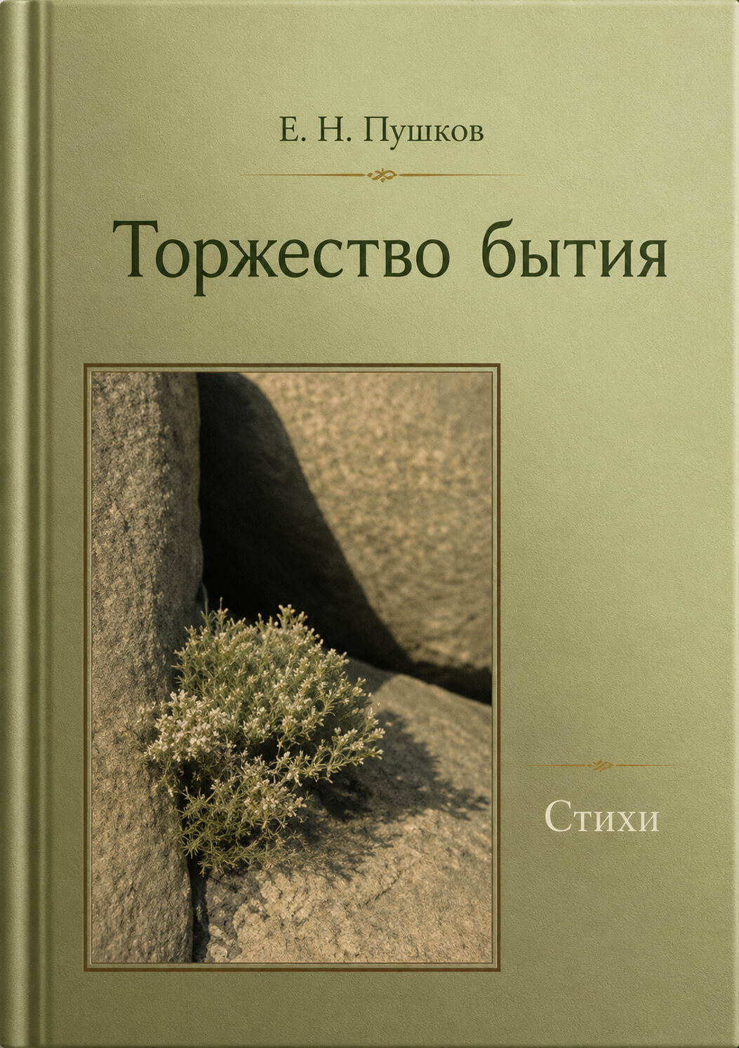 Обложка книги «Торжество бытия»