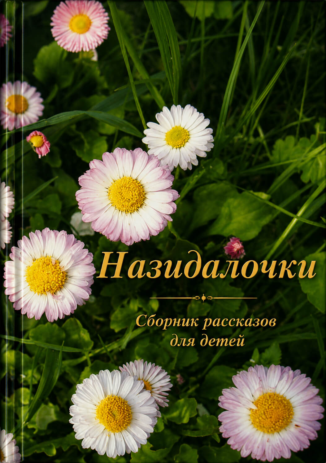 Обложка книги «Назидалочки»