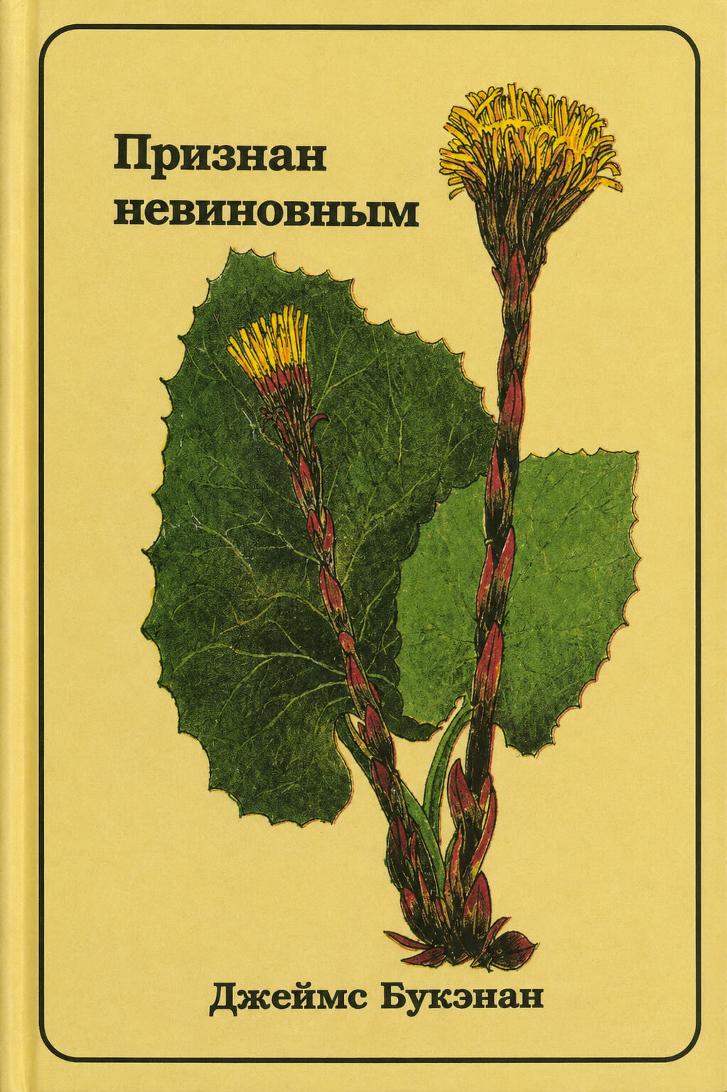 Обложка книги «Признан невиновным»